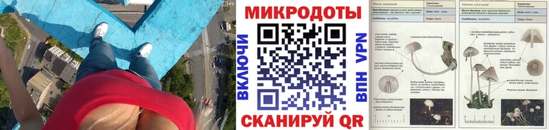 даркнет официальный сайт  Мещовск  Псилоцибиновые грибы прущие грибы  где купить  